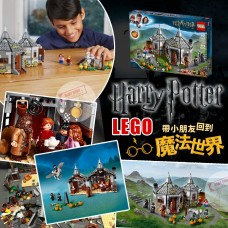 12底: LEGO 75947 Harry Potter 海格的小屋